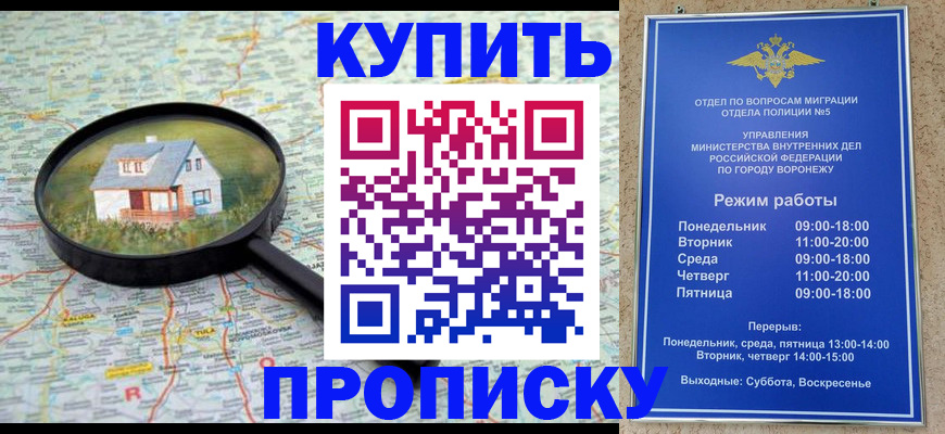 прописка поиск в Зеленодольске